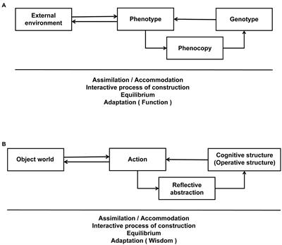 Frontiers Metaverse as a possible tool for reshaping schema